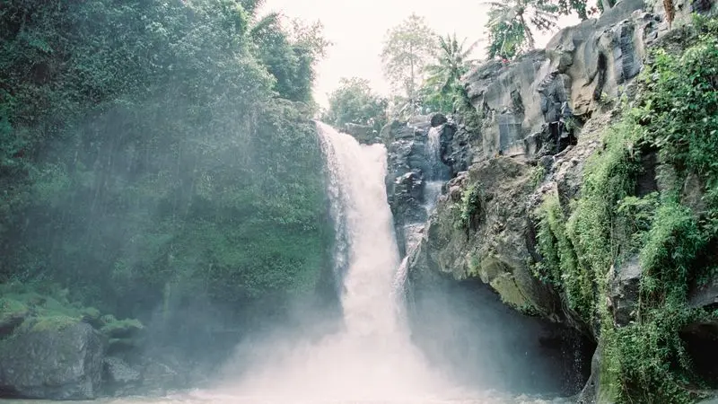 Tropical waterfall in Bali surrounded by lush greenery