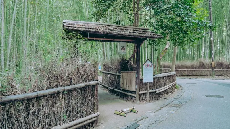 Arashiyama Bamboo Grove path in Kyoto